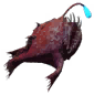 Lophius02.png