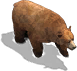 Ursa.png